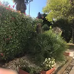 Bloom Near The * Porec