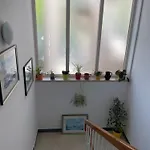 Bloom Near The *