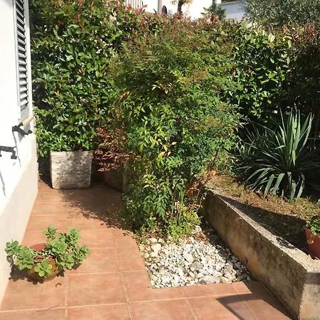 Bloom Near The * Poreč