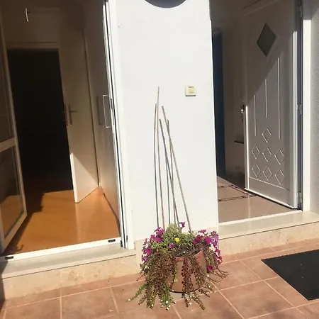 Bloom Near The Apartman *