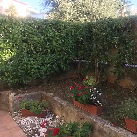 Bloom Near The Apartman Porec