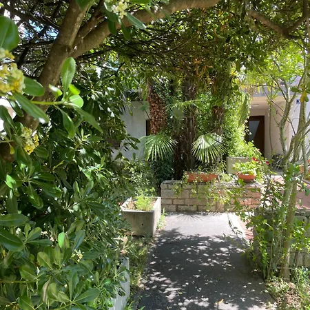 Apartman Bloom Near The