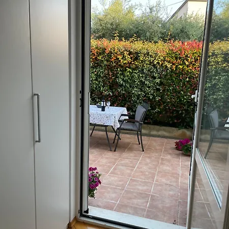 Apartman Bloom Near The *