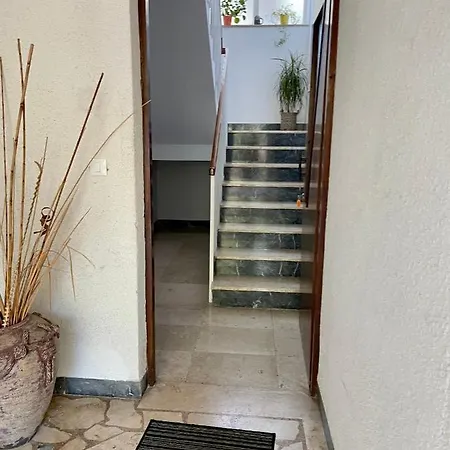 Apartment Bloom Near The