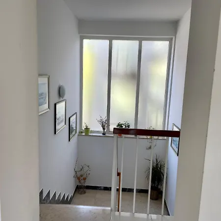 Bloom Near The Apartment *