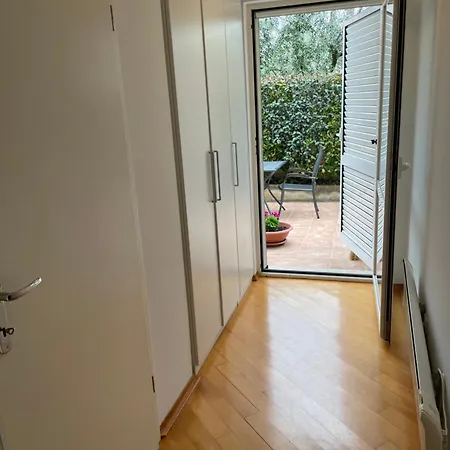 Bloom Near The 波雷奇