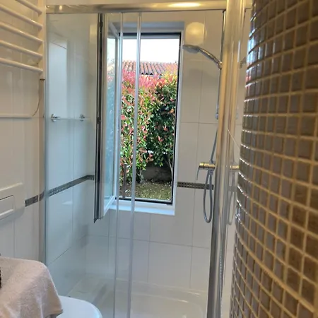 Bloom Near The Apartment Poreč