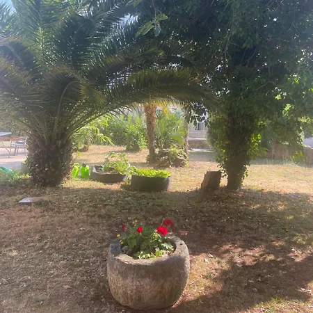 Bloom Near The Porec