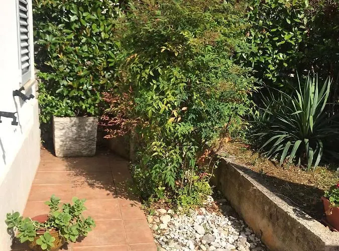 Bloom Near The * Poreč