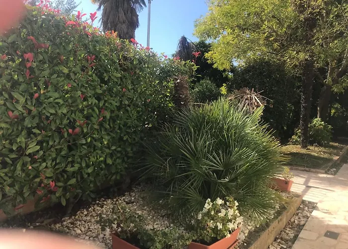 Bloom Near The * Poreč