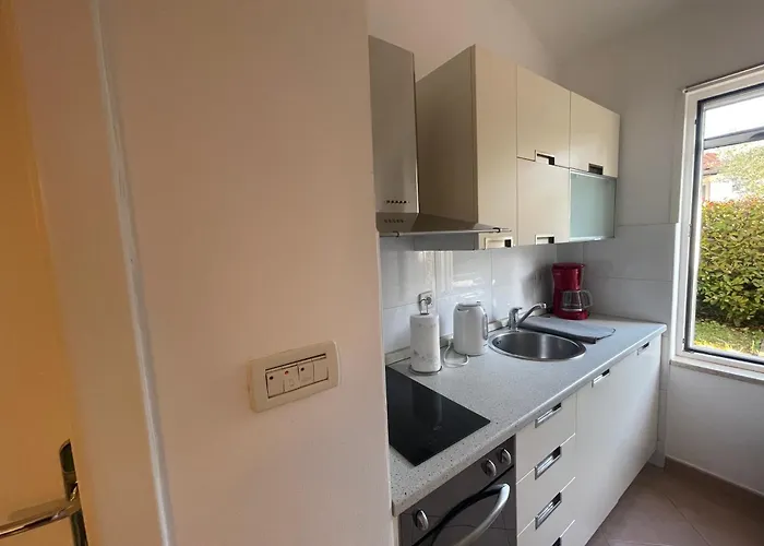 Appartamento Bloom Near The Porec