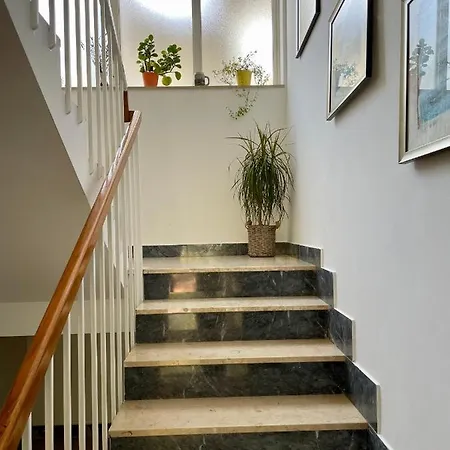 Apartment Bloom Near The Porec