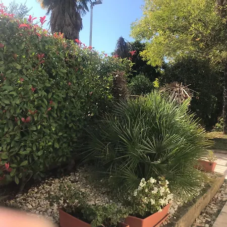 Bloom Near The * Porec