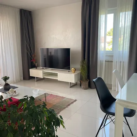 Bloom Near The Porec